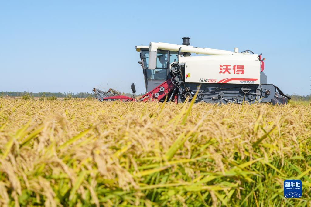 2018最新送彩金活动
